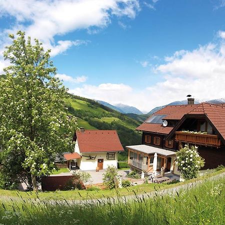 Sportbauernhof - Gasthaus Hochalmblick Krems in Kaernten Luaran gambar